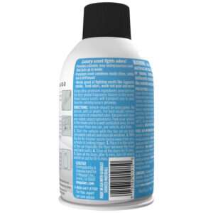 g262502 wholecarairrefresher islandvolcano back 10x10 f27a7c1f 3fc0 4593 bb32 fd3698d97525